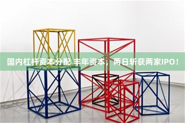 国内杠杆资本分配 丰年资本，两日斩获两家IPO！