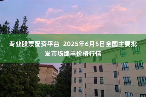 专业股票配资平台  2025年6月5日全国主要批发市场绵羊价格行情