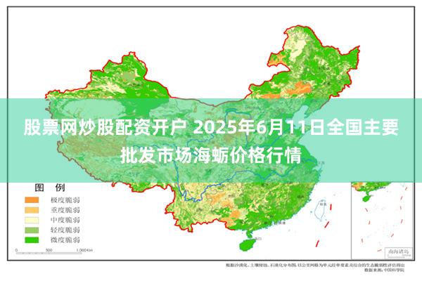 股票网炒股配资开户 2025年6月11日全国主要批发市场海蛎价格行情