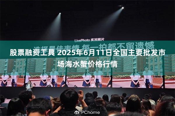 股票融资工具 2025年6月11日全国主要批发市场海水蟹价格行情
