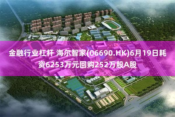 金融行业杠杆 海尔智家(06690.HK)6月19日耗资6253万元回购252万股A股