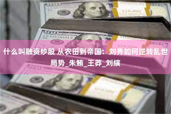 什么叫融资炒股 从农田到帝国：刘秀如何逆转乱世局势_朱鲔_王莽_刘縯