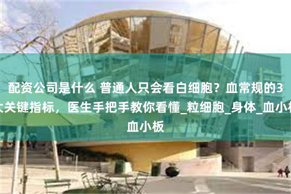 配资公司是什么 普通人只会看白细胞？血常规的3大关键指标，医生手把手教你看懂_粒细胞_身体_血小板