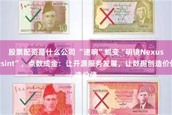 股票配资是什么公司 “速响”蜕变“明镜NexusOsint”，点数成金：让开源服务发展，让数据创造价值